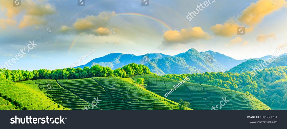 Ruộng bậc thang Tây Bắc MRBT-003